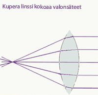 Kaavio siit�, kuinka kupera linssi kokoaa valons�teet yhteen pisteeseen linssin taakse
