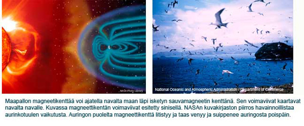 Maan magneettikent�n voimaviivat kulkevat navalta navalle